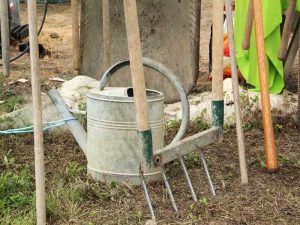 outils-jardinage-arrosoir-jardiniers-automne