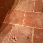 hebergement-campagne-oreilles-delicates-cuisine-salon-empreinte-chien-carrelage-dallage-brique-pierre