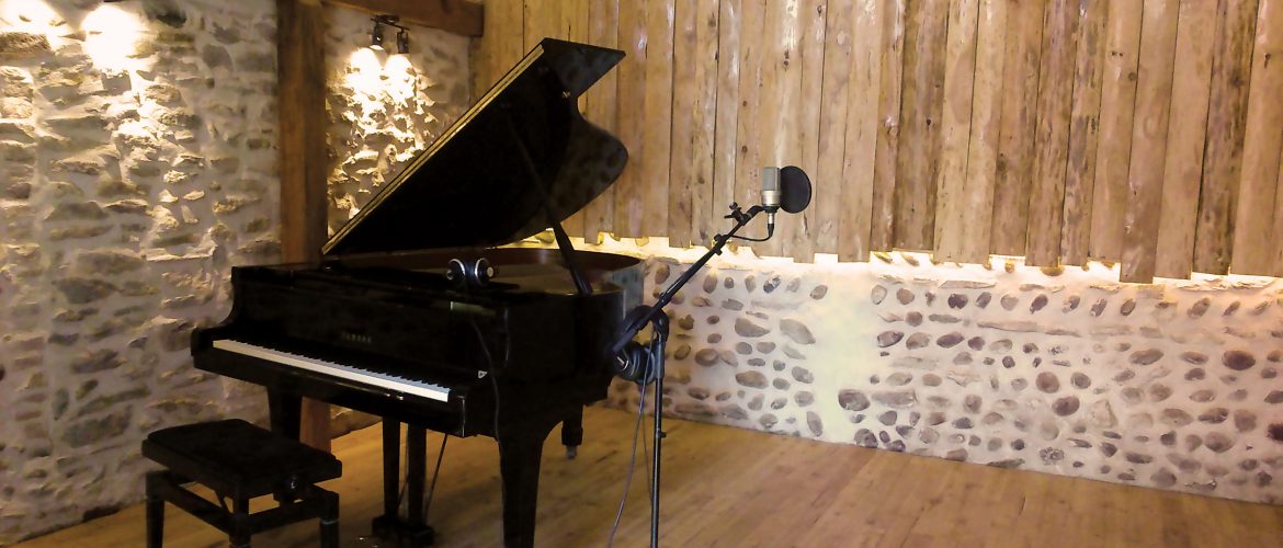 studio avec matériel haut de gamme, atmosphère seraine et chaleureuse, acoustique variable et modulable, prise de son aérée...
