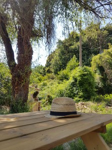 campagne-hebergement-oreilles-delicates-barbecue-tourisme-table-jardin-ombre-repas-chapeau-paille-vacances-tronc