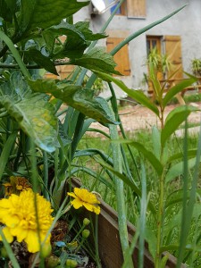 campagne-hebergement-oreilles-delicates-construction-exterieur-entree-nature