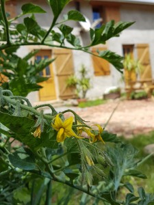 campagne-hebergement-oreilles-delicates-construction-exterieur-entree-studio-enregistrement-nature