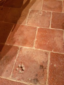 hebergement-campagne-oreilles-delicates-cuisine-salon-empreinte-chien-carrelage-dallage-brique-pierre-e1467837961378 