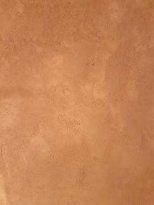 hebergement-campagne-oreilles-delicates-cuisine-salon-mur-terre-marron 