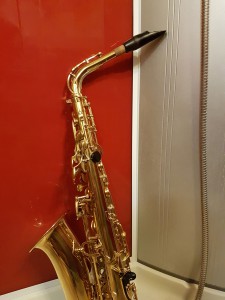 hebergement-campagne-oreilles-delicates-salle-de-bain-douche-tube-saxophone   